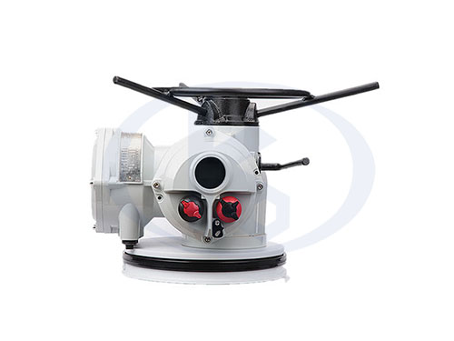 VQ型多回轉(zhuǎn)電動(dòng)執(zhí)行器